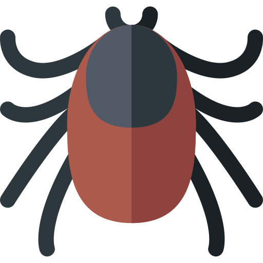 Tick