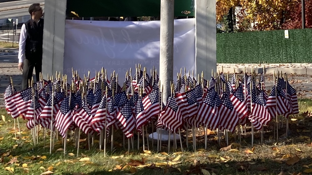 flags