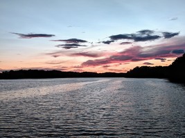 Mid August Summer Update