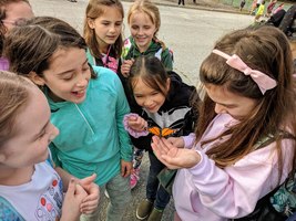 State Science Assessment Results
