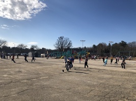 McCabe's Spring Fever!