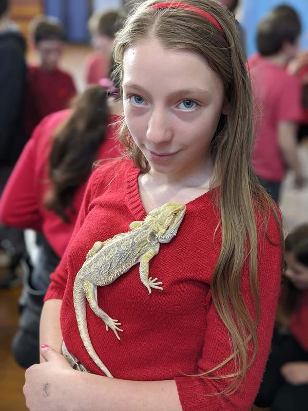 5th grade learning about reptiles up close