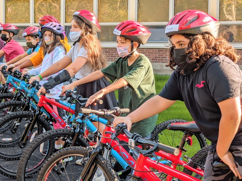 Line up of bikes