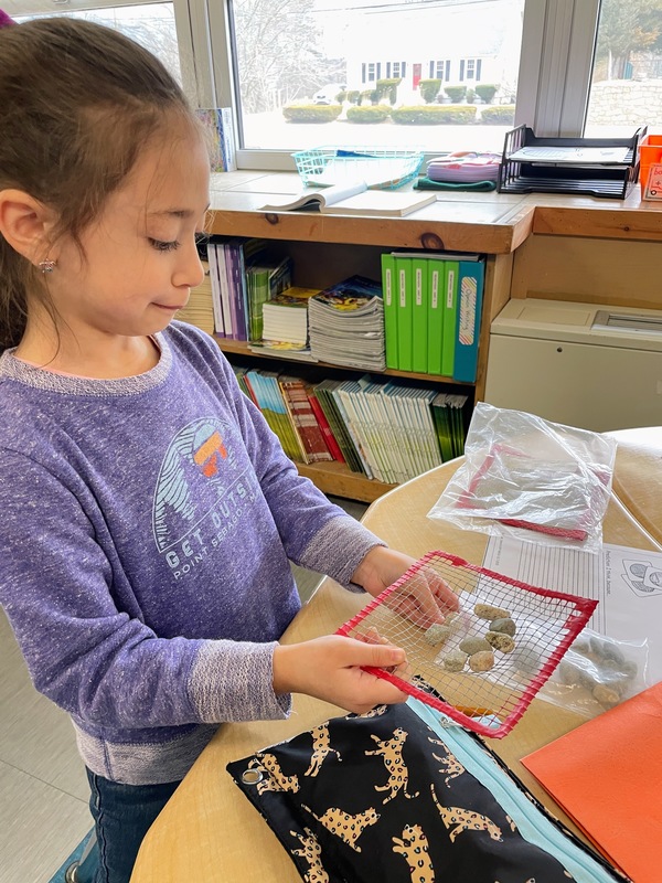 2nd Grade Sifting River Rocks