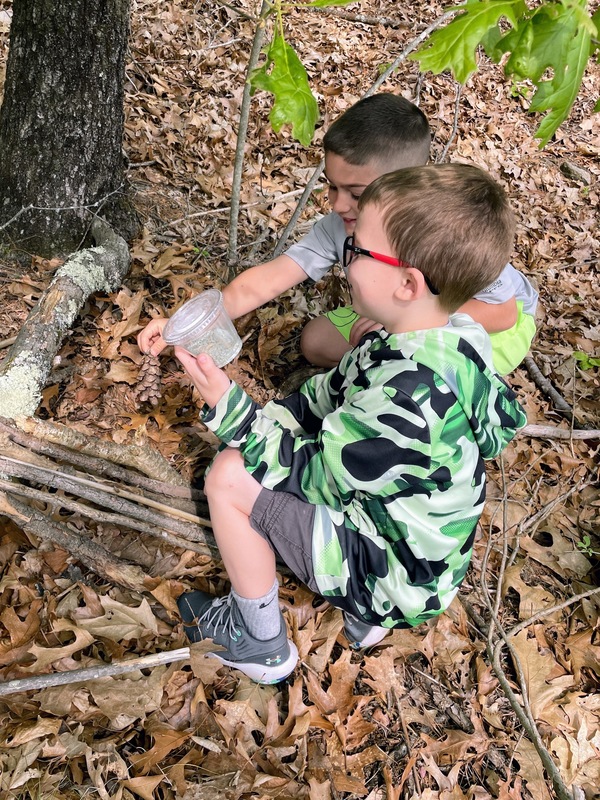 2nd grade releasing beetles