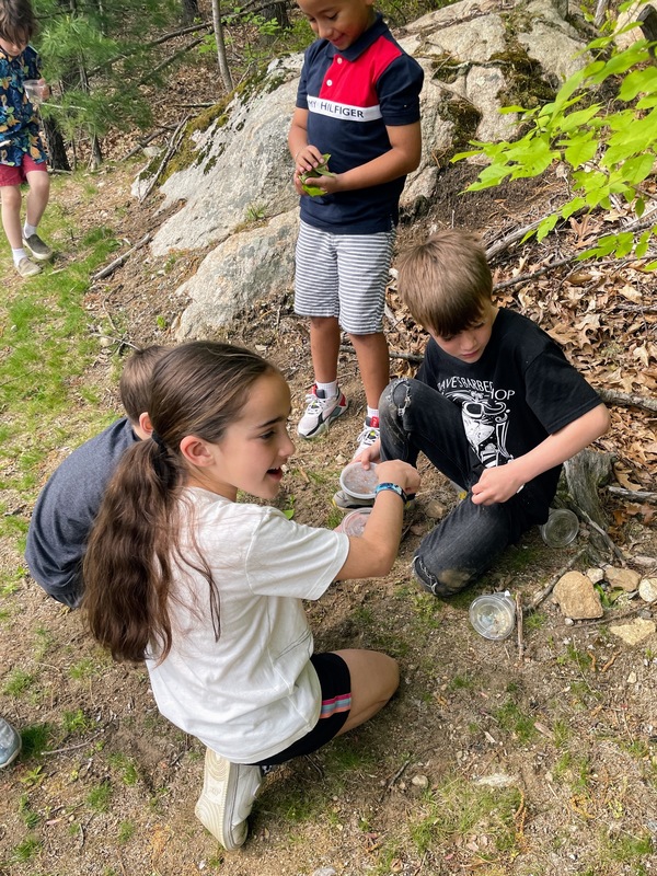 2nd grade releasing beetles